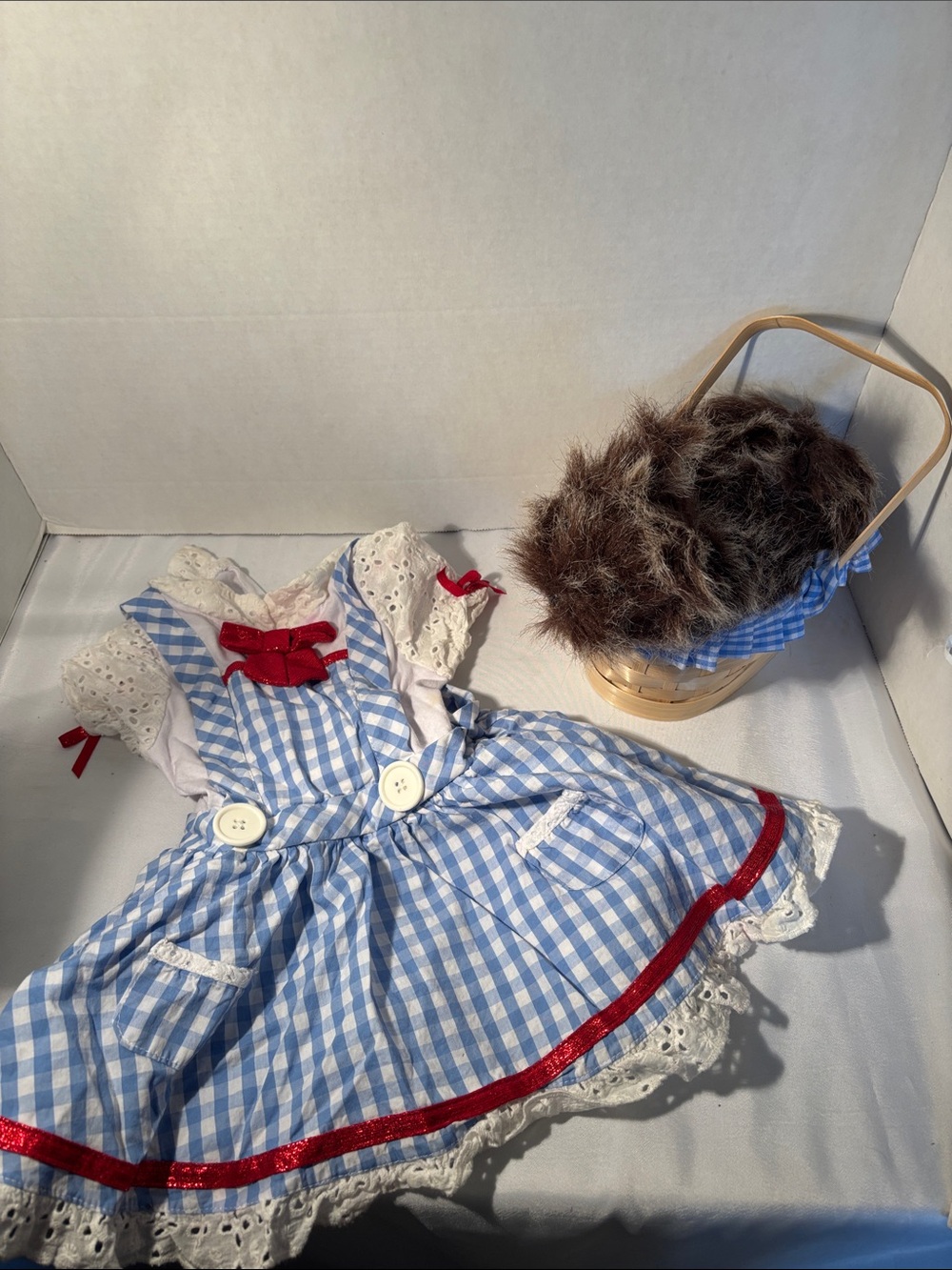 Dorothy costume from The Wizard of Oz with Toto